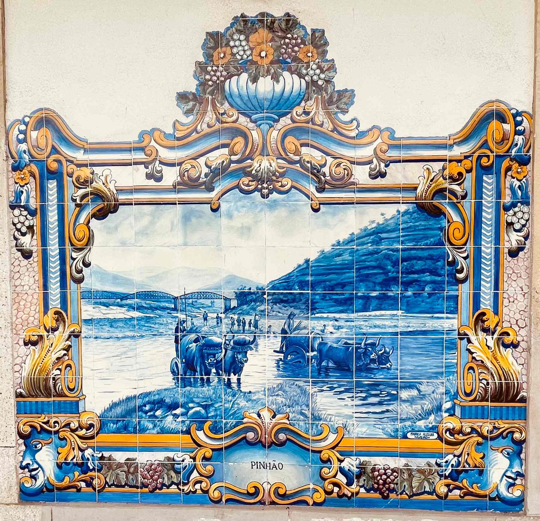 Cos’s Travel Guide